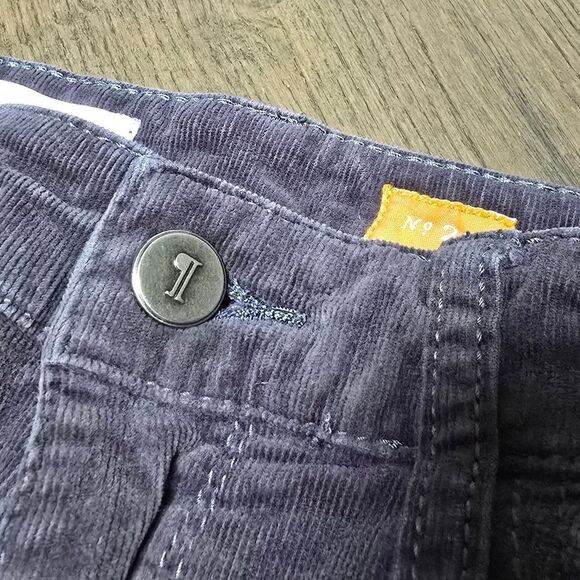 Anthro Pilcro Stet Low Rise Skinny Corduroy Ankle Zip Pants in Gray - Picture 6 of 14